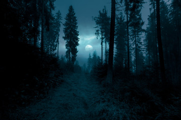 Dark, foggy, mysterious forest. Full moon on the sky. Halloween backdrop.