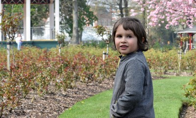 boy in blossom garden