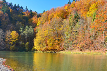 Autumn landscape including Dunajec river in Pieniny national park