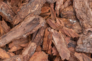Tree bark natural background wallpaper backdrop. Brown natural pieces of sliver of wood bark texture