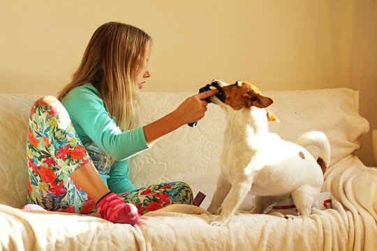 Happy Little Girl Takes Jack Sock Terrier Sock On The Sofa In The Sun