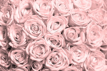 Natural floral background with bouquet of pink roses