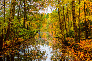 Beautiful autumn landscape. Reflection of the autumn forest in the lake.