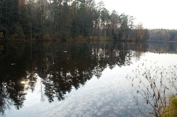 Gold autumn forest and lake