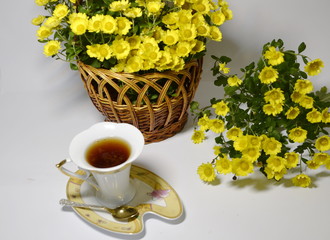 On a white background is a basket with yellow flowers of fresh fragrant chrysanthemums and a cup of tea.
