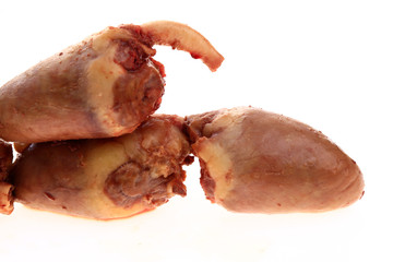 The heart in the white background