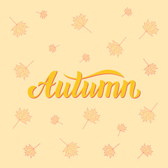 Hand sketched Autumn text. Autumn mood. Maple leaves