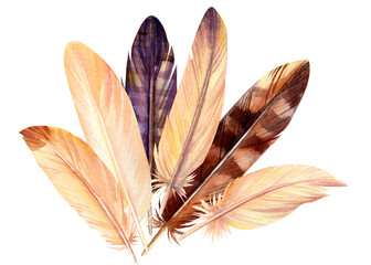 feathers on an isolated white background, watercolor painting, hand drawing