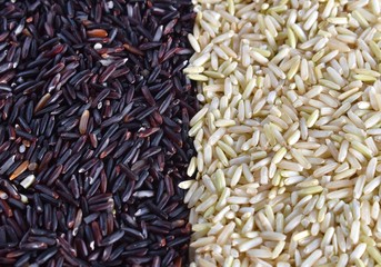 Organic rice, texture for background