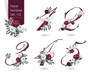 Vector illustration of floral numbers collection in spring. A set of beautiful flowers and numbers for wedding, invitations and birthday cards