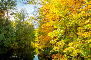 Obraz premium River passing under the beautiful red, orange, yellow and green foliage of the trees during autumn season.