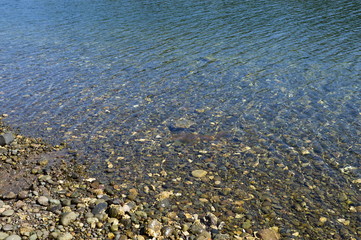 Olympic Halbinsel, Washington