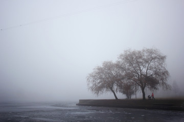 River in a fog