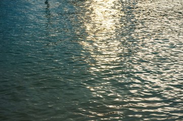 ripples on surface of water