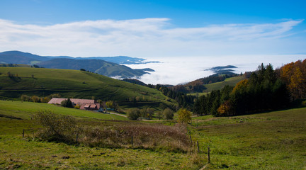 Nebelmeer im Schwarzwald, Blick Richtung Münstertal