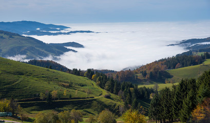 Nebelmeer im Schwarzwald, Blick Richtung Münstertal