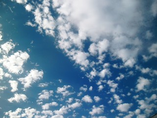 white clouds on the sky