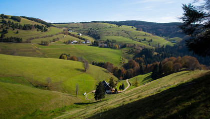 Schwarzwaldlandschaft Nahe Des Schauinsland