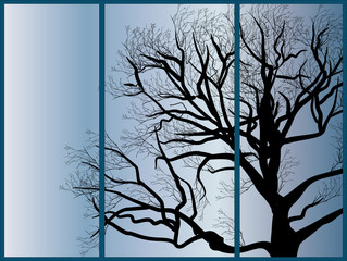 old large bare tree black silhouette on grey