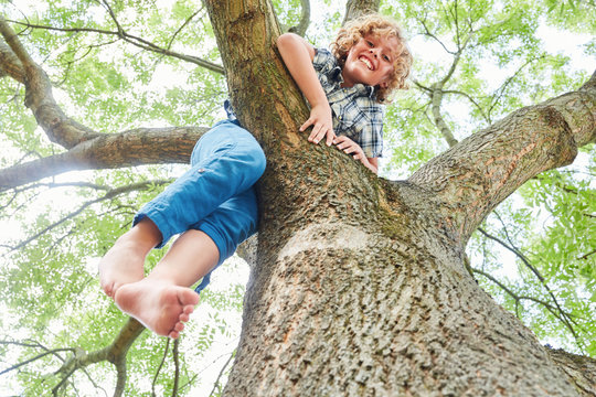 Blonder Junge klettert stolz auf einen Baum
