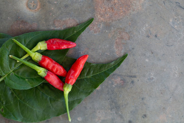 Hot red chili or chilli pepper clos up image group
