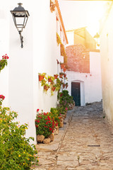 Narrow cozy street with a lot of flowers in pots