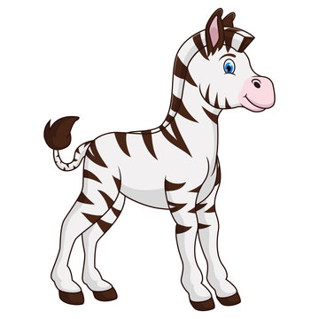 A zebra animal cartoon