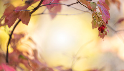 Herbstlicher Hintergrund als Vorlage