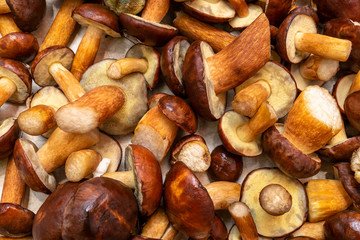 Background made from freshly picked edible mushrooms, different types and sizes.