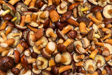Background made from freshly picked edible mushrooms, different types and sizes.