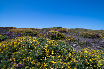 Bretagne