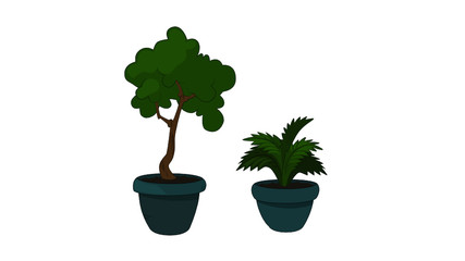 two plants