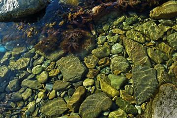 Fototapeta na wymiar multi-colored sea stones under water near the shore