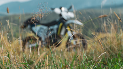 Wild grass on background moto . 
