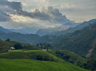 Fototapeta na wymiar Rice fields on terraced of Sa Pa, YenBai, Vietnam. Rice fields prepare the harvest at Northwest Vietnam.Vietnam landscapes
