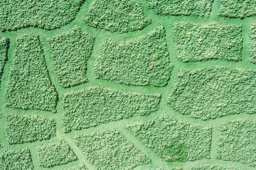 Texture abstract green 