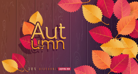 Autumn leaves and icon design on wood