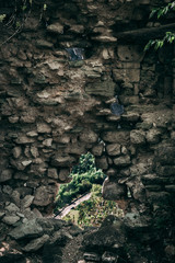 Eremo di Grottafucile