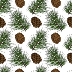 Cedar branch with cones seamless pattern. Illustration in engraving technique. Isolated on white background.