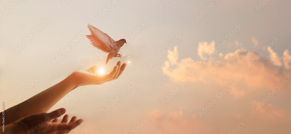 Wall mural Woman praying and free bird enjoying nature on sunset background, hope concept