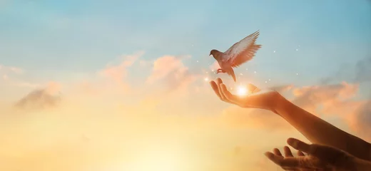 Fototapeten Frau, die betet und freier Vogel, der die Natur auf Sonnenunterganghintergrund genießt, Hoffnungskonzept © ipopba