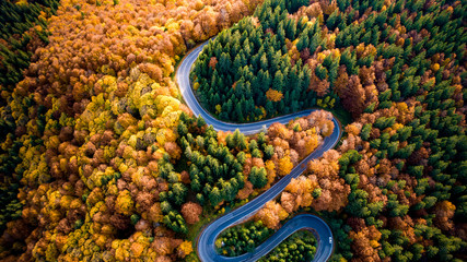Aerial view of curvy road in beautiful autumn forest at sunset. Top view of roadway with autumn colors. Europe roads and transportation concept