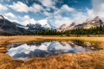 Mount Assiniboine reflection on pond in golden meadow at Canada