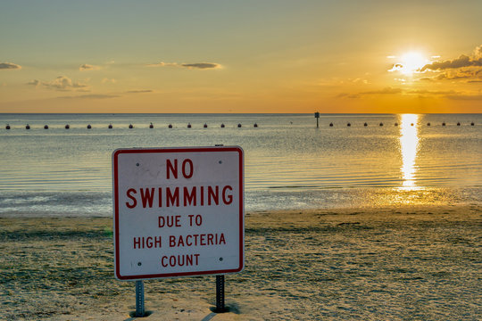 Beach closed due to high bacteria levels in the water sign at sunset warns people to stay out of the water.