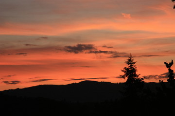 Teintes de rose et de bleu au soleil couchant