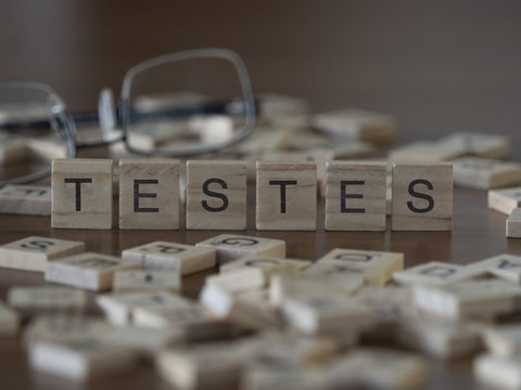 The concept of testes represented by wooden letter tiles
