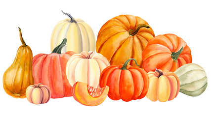 autumn illustration, pumpkin on an isolated white background, watercolor drawing