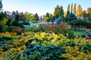 Botanical Garden in Wroclaw, Poland.