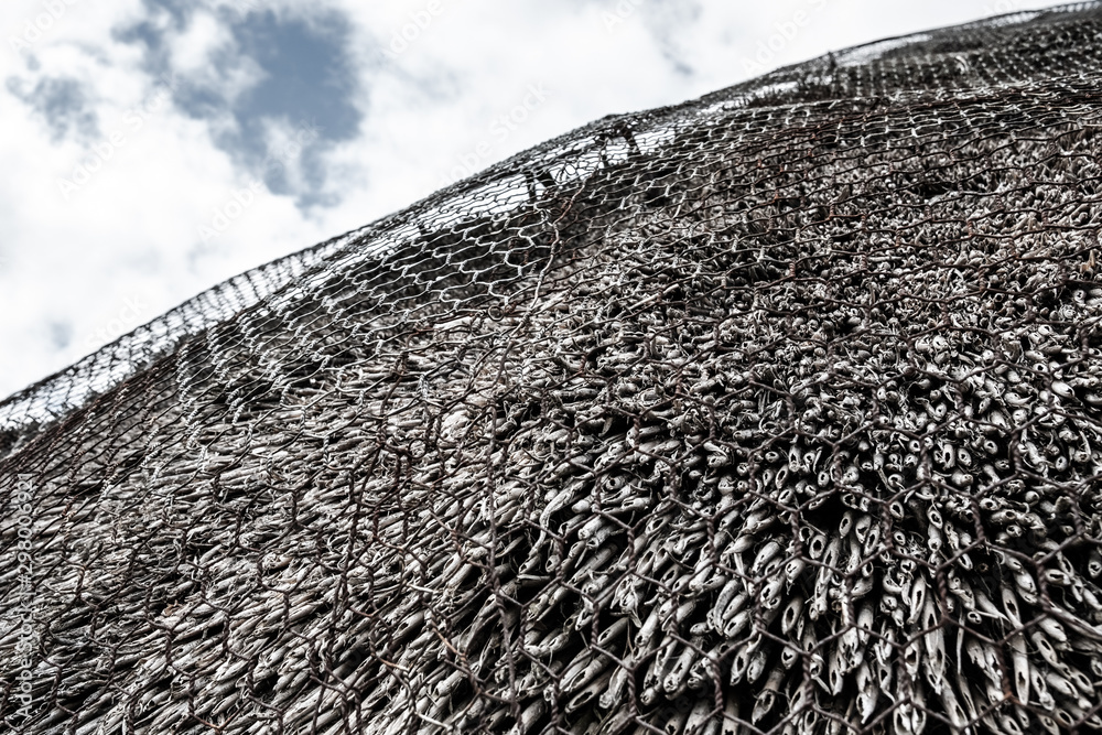 Wall mural Abstract view of a thatched roof on an old cottage showing the wire meshing cover.