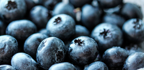 Background with fresh blueberries closeup. Blueberry macro photography. Organic berries of bright blue color. Template for banner, menu, food label, organic shop, garden harvesting. Healthy eating